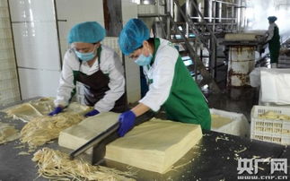 宁夏食品企业 天人和 成为 中国豆制品样板工厂